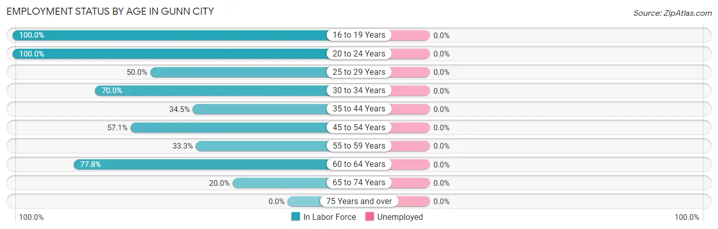 Employment Status by Age in Gunn City