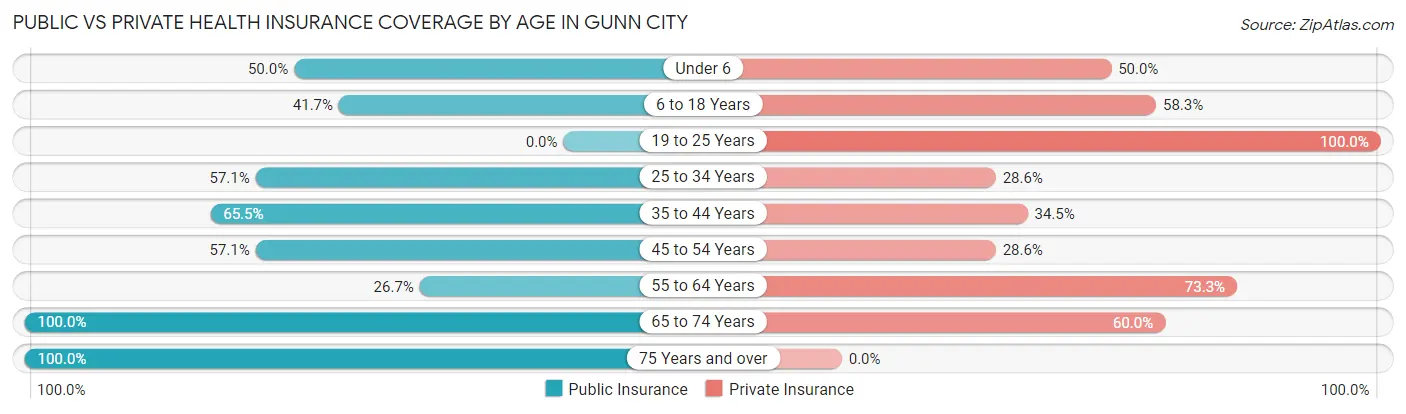 Public vs Private Health Insurance Coverage by Age in Gunn City