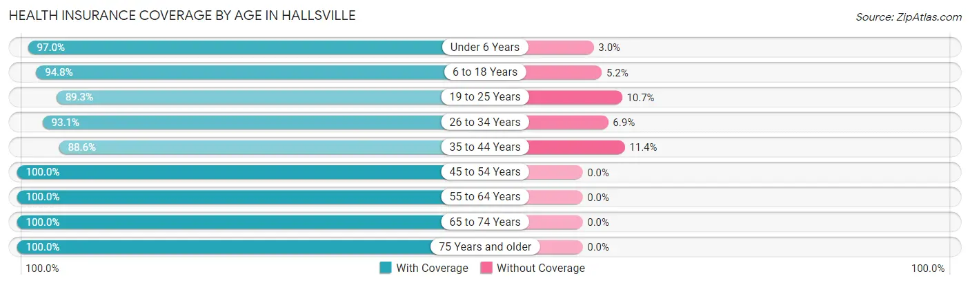 Health Insurance Coverage by Age in Hallsville