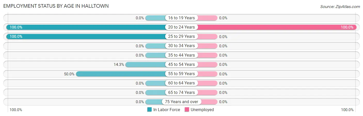 Employment Status by Age in Halltown