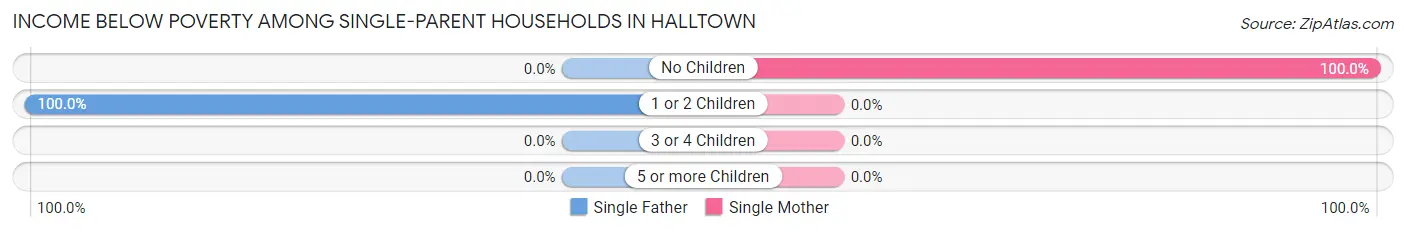 Income Below Poverty Among Single-Parent Households in Halltown