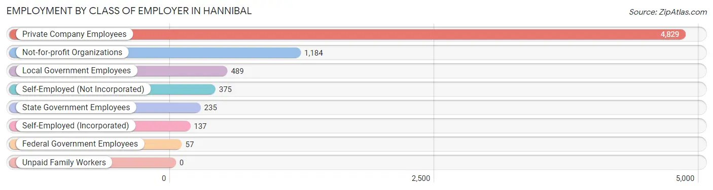 Employment by Class of Employer in Hannibal