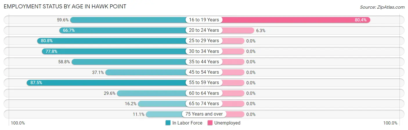 Employment Status by Age in Hawk Point