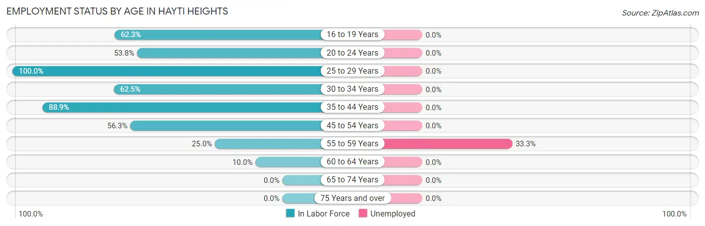 Employment Status by Age in Hayti Heights