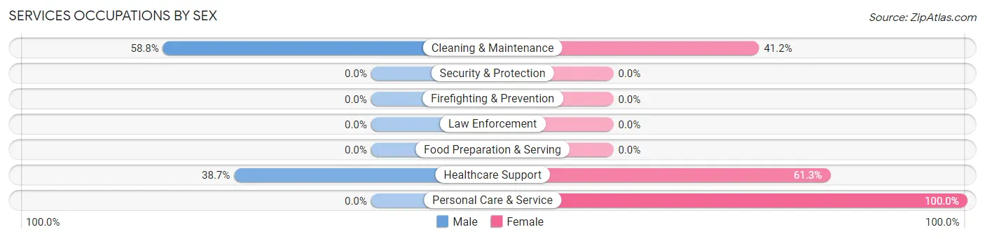 Services Occupations by Sex in Hayti Heights