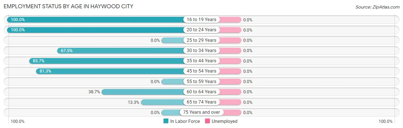 Employment Status by Age in Haywood City