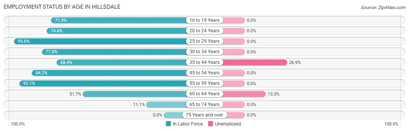 Employment Status by Age in Hillsdale
