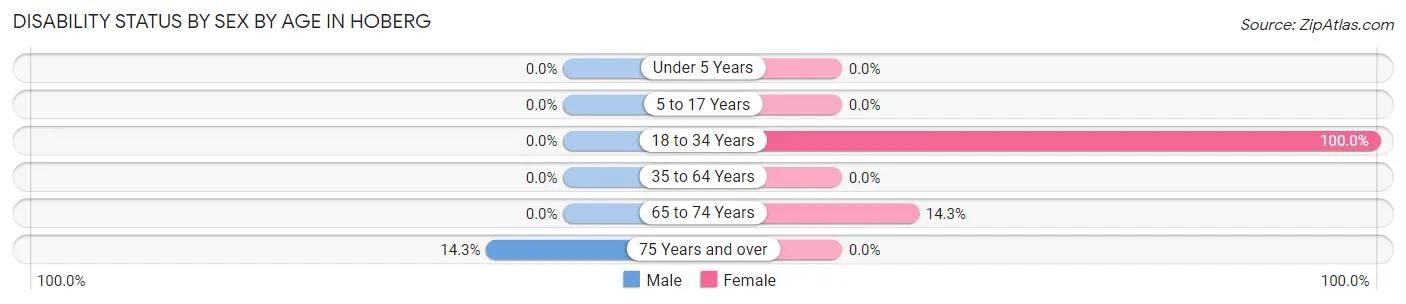Disability Status by Sex by Age in Hoberg