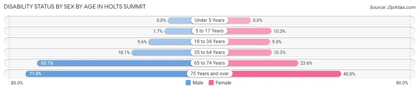 Disability Status by Sex by Age in Holts Summit