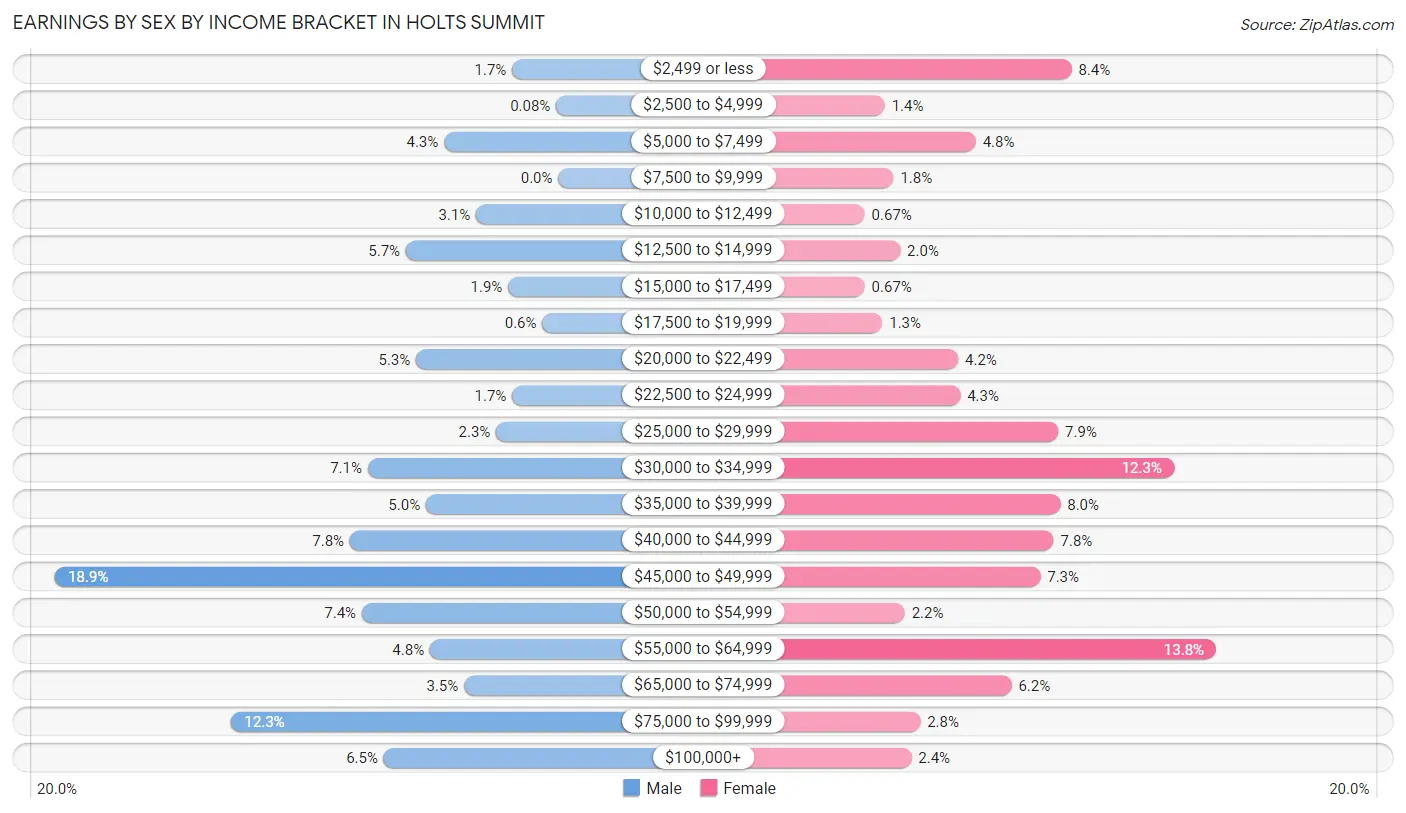 Earnings by Sex by Income Bracket in Holts Summit