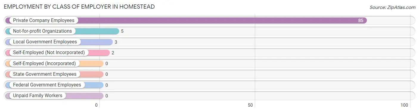 Employment by Class of Employer in Homestead