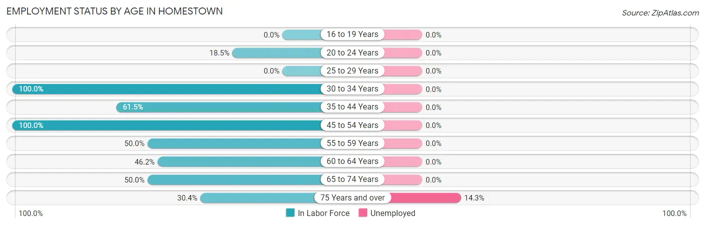 Employment Status by Age in Homestown