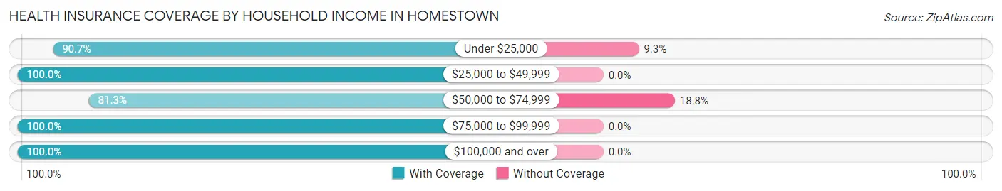 Health Insurance Coverage by Household Income in Homestown