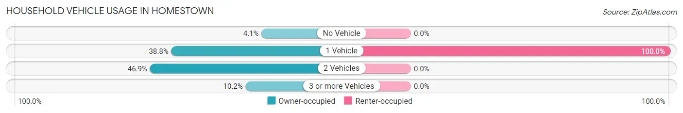Household Vehicle Usage in Homestown