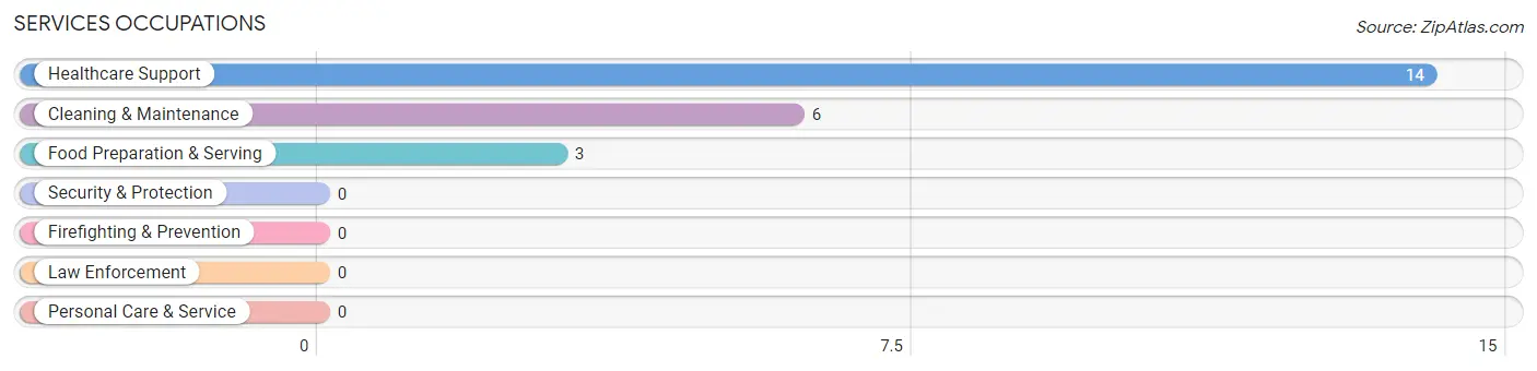 Services Occupations in Homestown