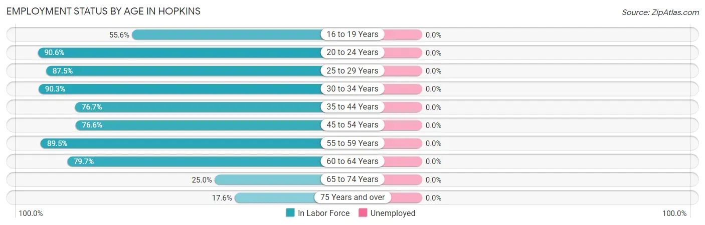 Employment Status by Age in Hopkins