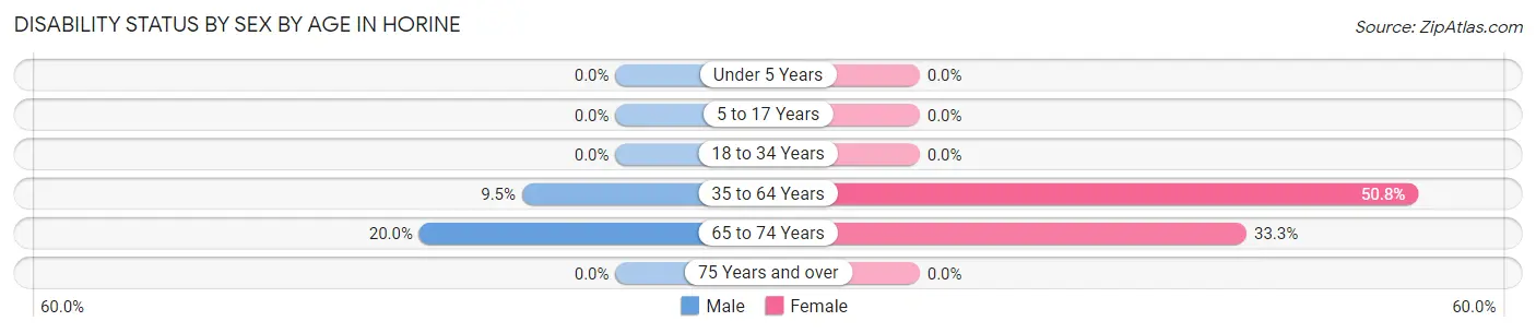 Disability Status by Sex by Age in Horine