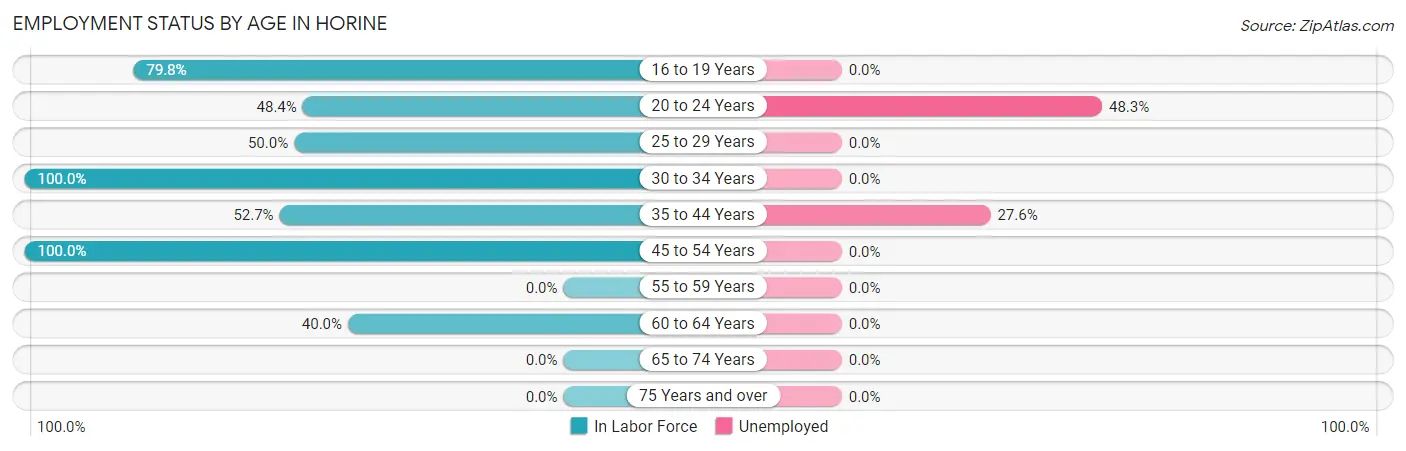 Employment Status by Age in Horine