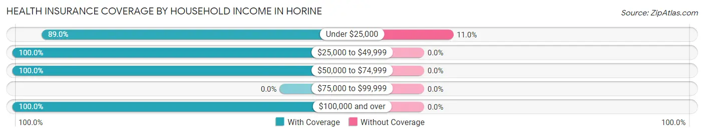 Health Insurance Coverage by Household Income in Horine