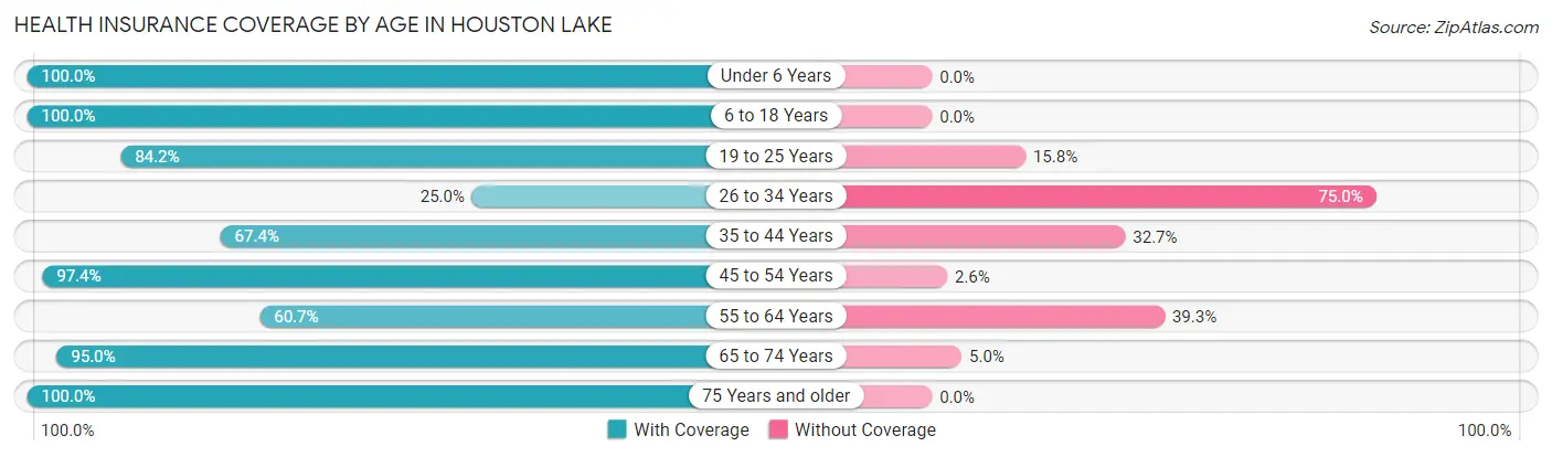 Health Insurance Coverage by Age in Houston Lake