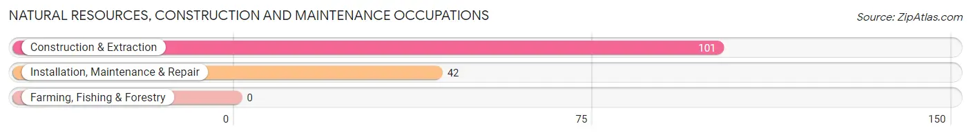 Natural Resources, Construction and Maintenance Occupations in Houston