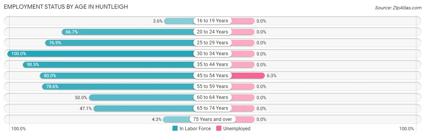 Employment Status by Age in Huntleigh