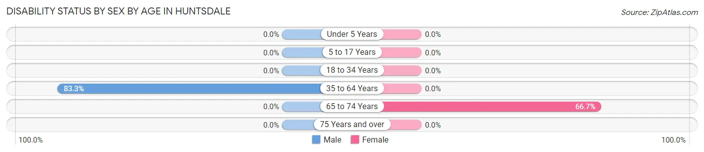 Disability Status by Sex by Age in Huntsdale