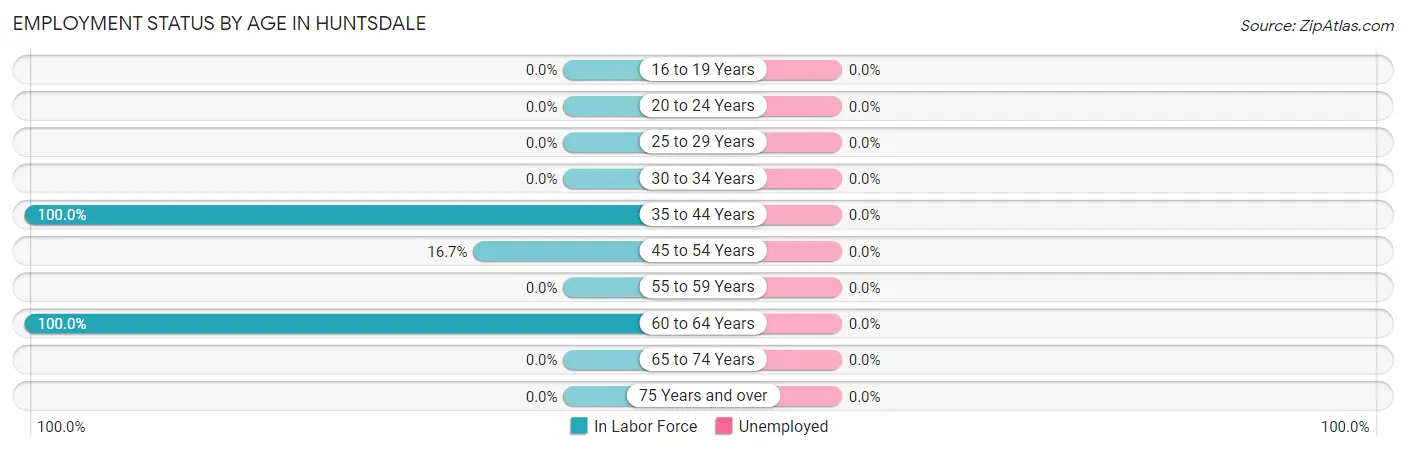 Employment Status by Age in Huntsdale