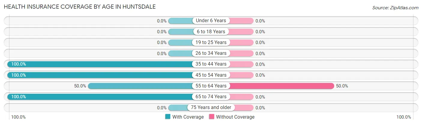 Health Insurance Coverage by Age in Huntsdale