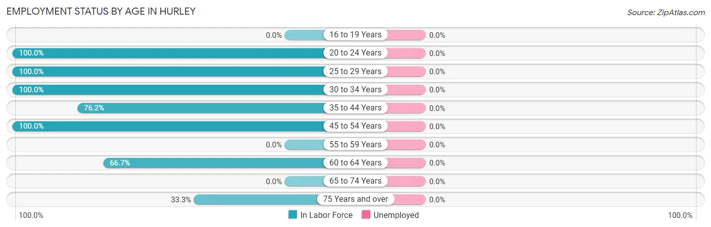 Employment Status by Age in Hurley
