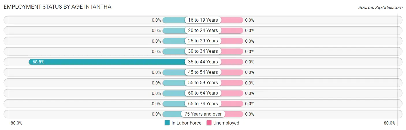 Employment Status by Age in Iantha