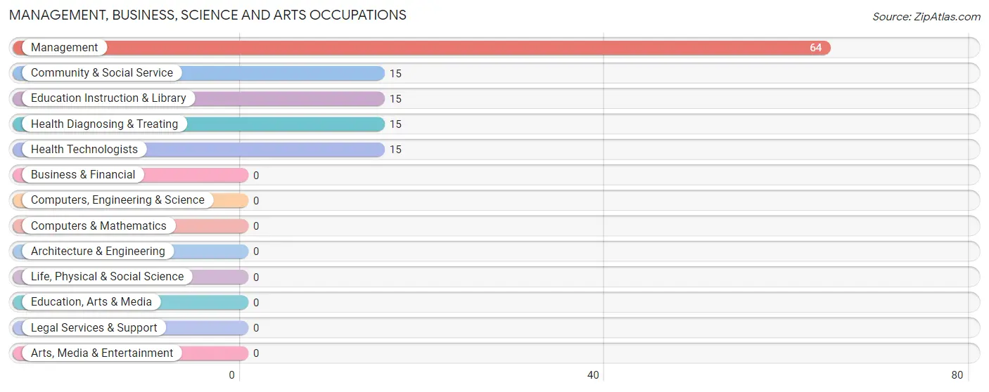 Management, Business, Science and Arts Occupations in Indian Lake