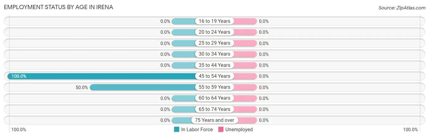 Employment Status by Age in Irena