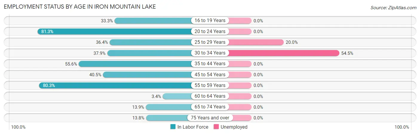 Employment Status by Age in Iron Mountain Lake