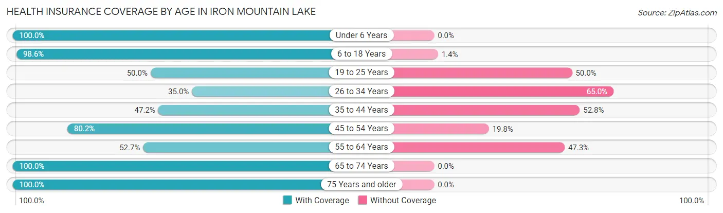 Health Insurance Coverage by Age in Iron Mountain Lake