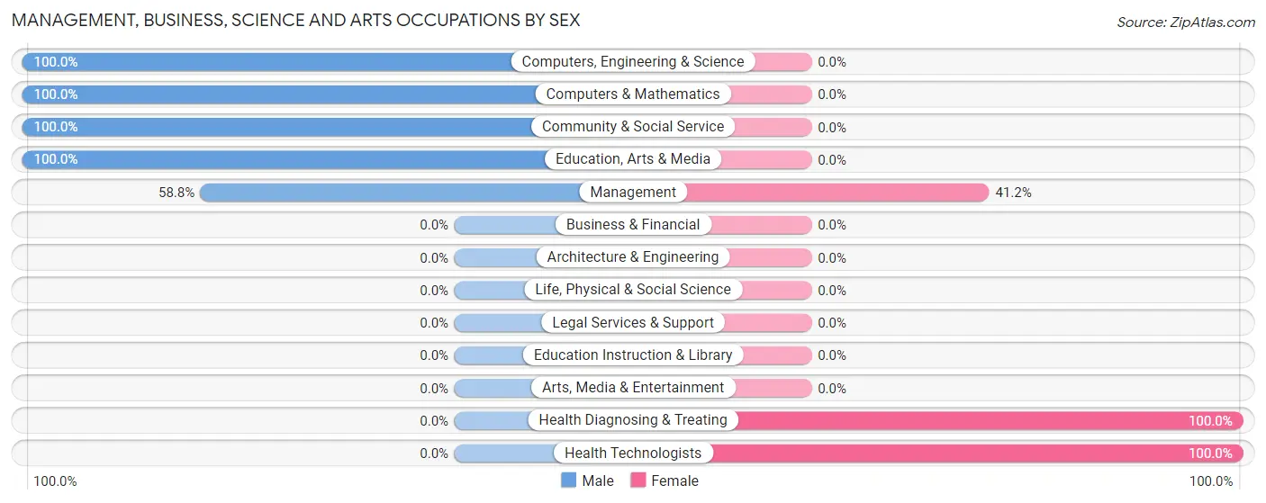 Management, Business, Science and Arts Occupations by Sex in Iron Mountain Lake