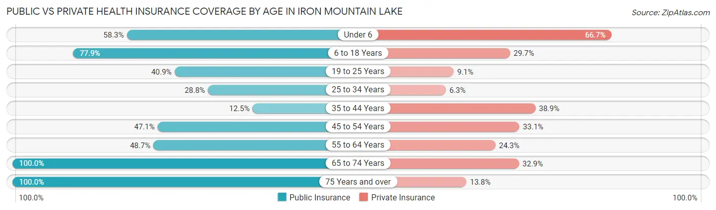 Public vs Private Health Insurance Coverage by Age in Iron Mountain Lake