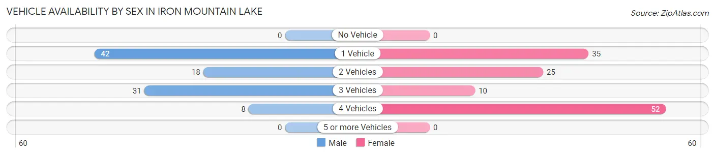 Vehicle Availability by Sex in Iron Mountain Lake