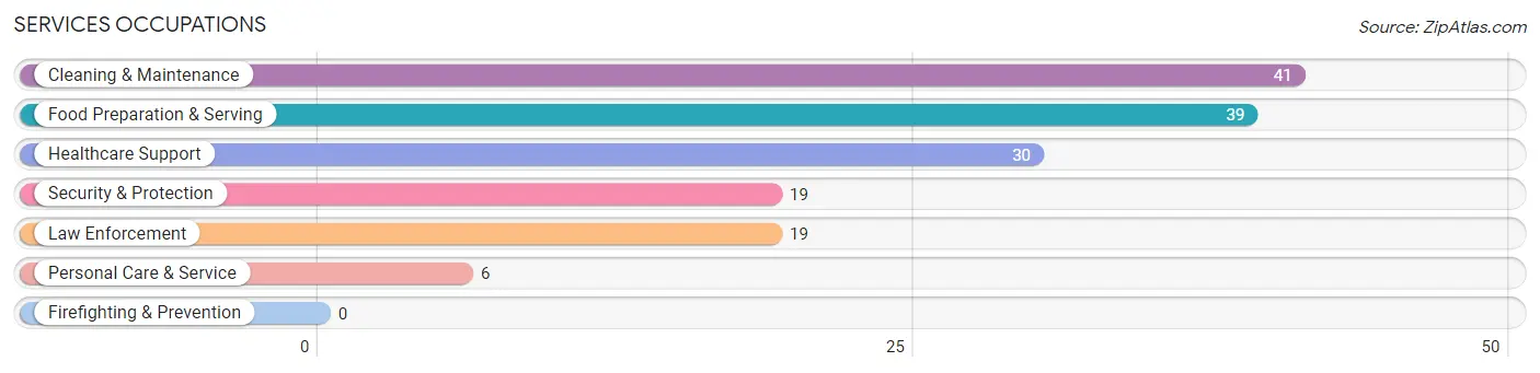 Services Occupations in Ironton