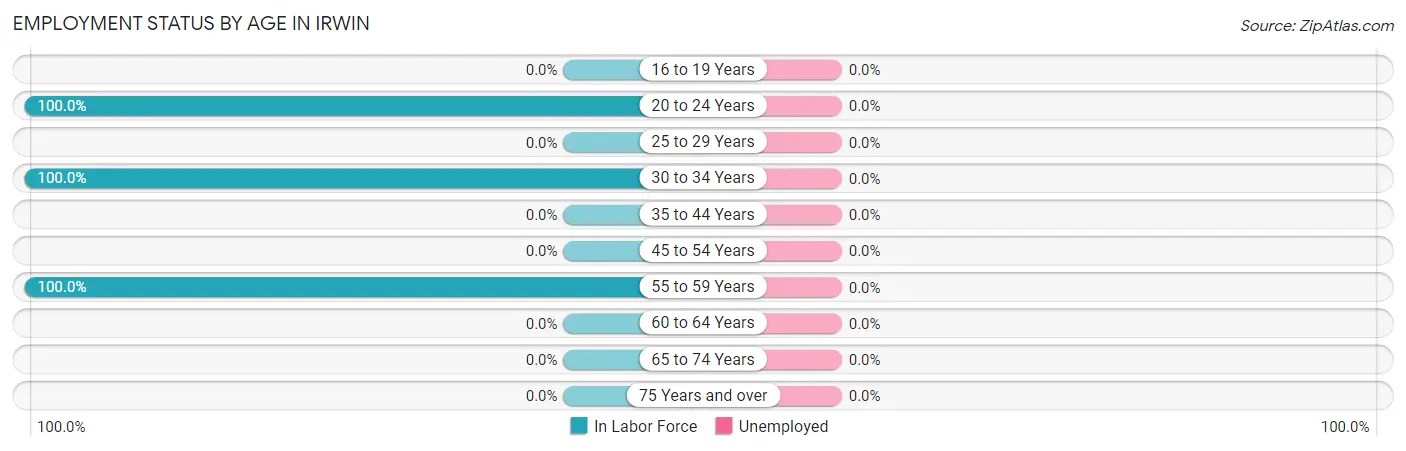Employment Status by Age in Irwin