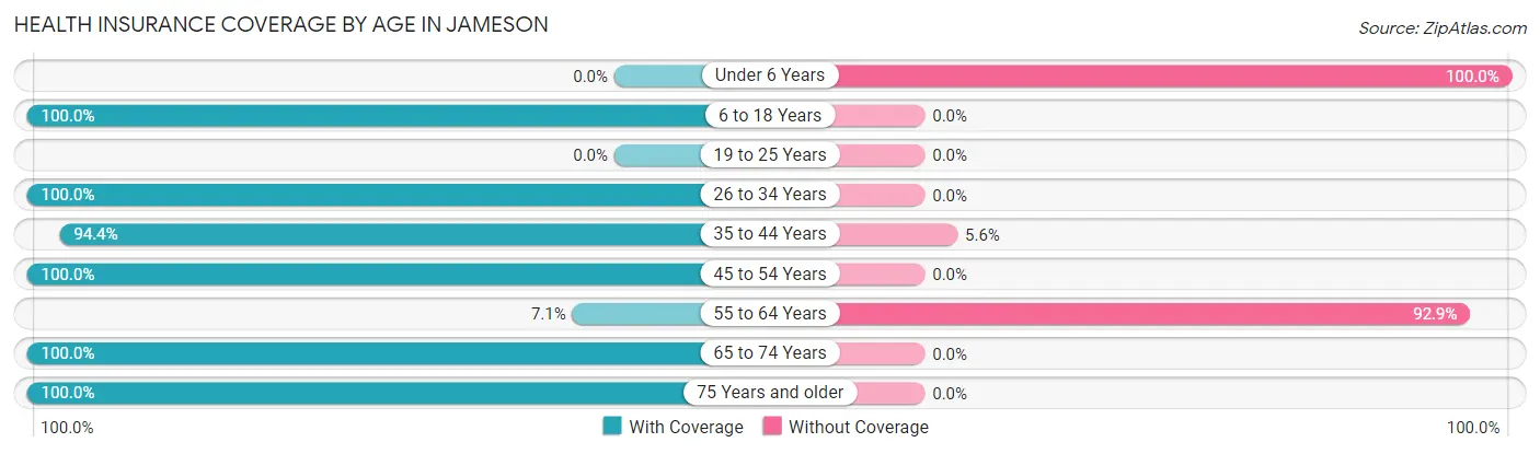 Health Insurance Coverage by Age in Jameson