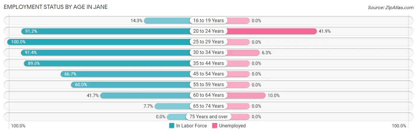 Employment Status by Age in Jane