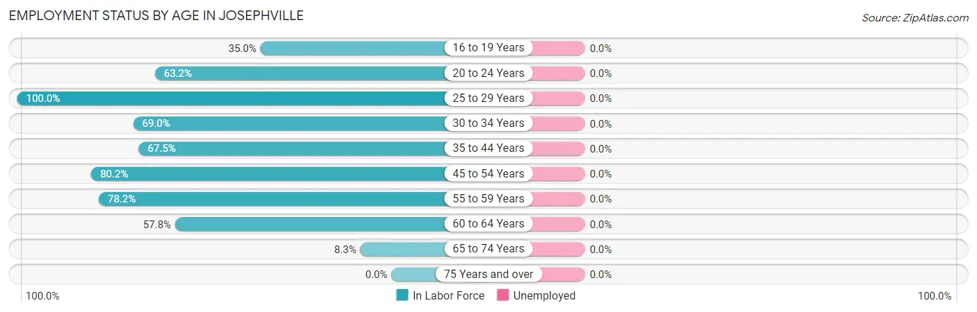 Employment Status by Age in Josephville