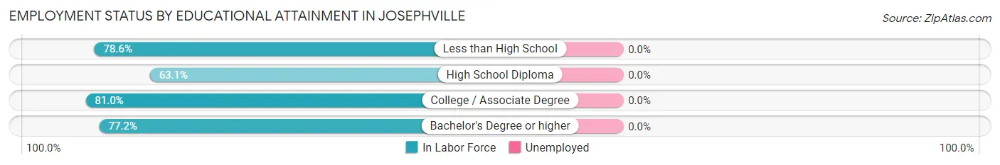Employment Status by Educational Attainment in Josephville