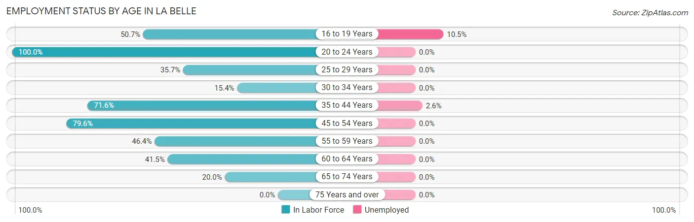 Employment Status by Age in La Belle