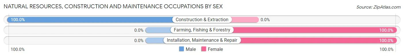 Natural Resources, Construction and Maintenance Occupations by Sex in LaBarque Creek