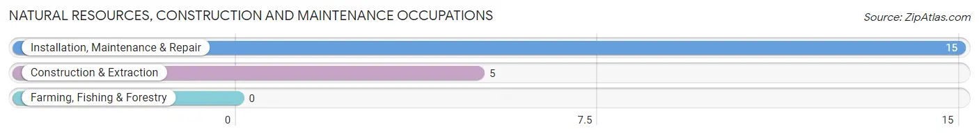 Natural Resources, Construction and Maintenance Occupations in Laddonia