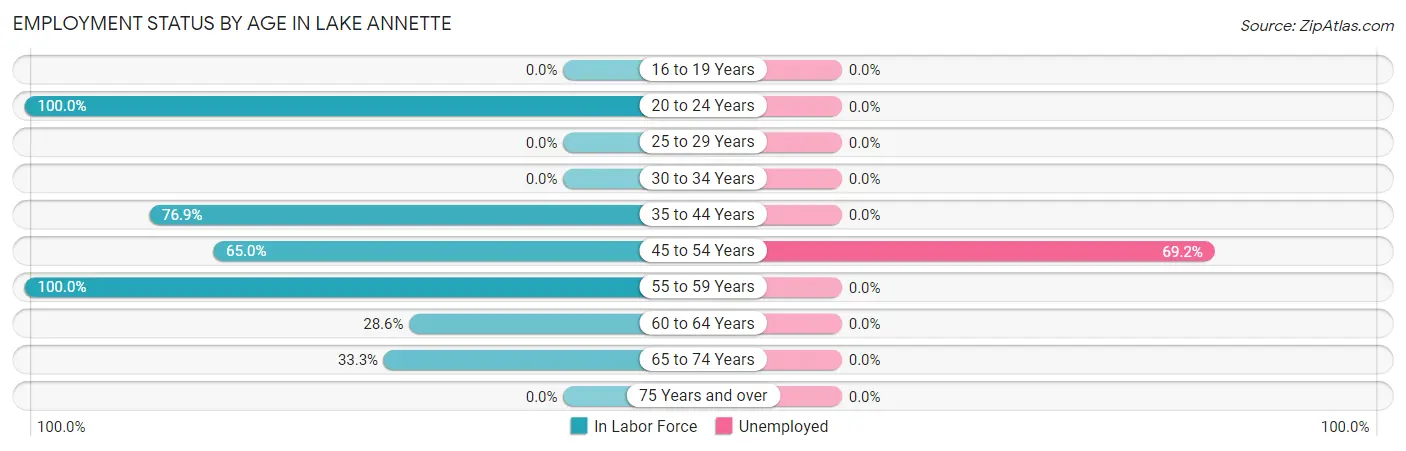 Employment Status by Age in Lake Annette