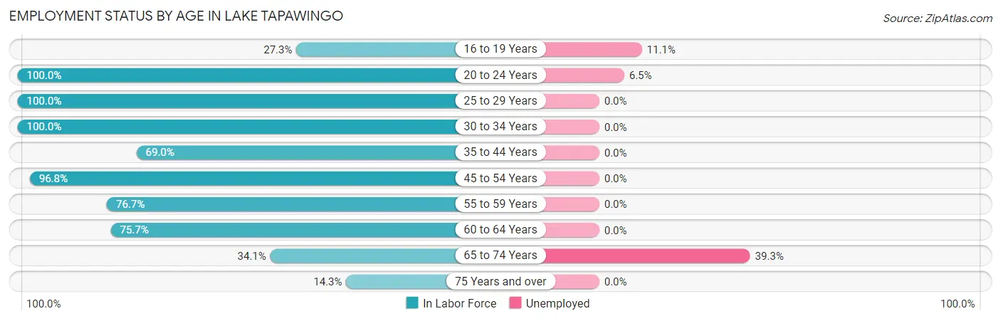 Employment Status by Age in Lake Tapawingo