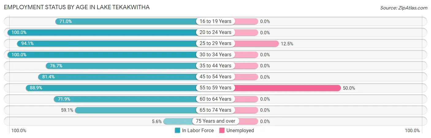 Employment Status by Age in Lake Tekakwitha